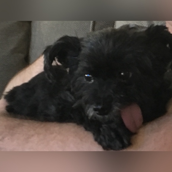 โฅ๏ธ๐๐ป๐ถMeet your Posher, Kim๐๐๏ธ๐๐  - Picture 9 of 12